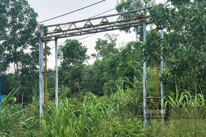 du-an-bo-hoang-phu-t-1719542636.jpg