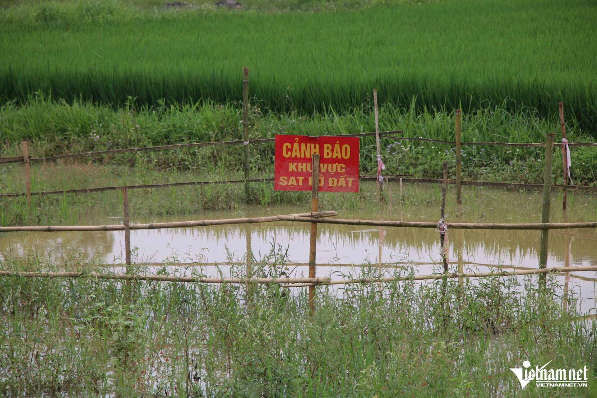 w-ho-tu-than-bac-kan-ngay-31-11jpg-98630-1748827173.jpg