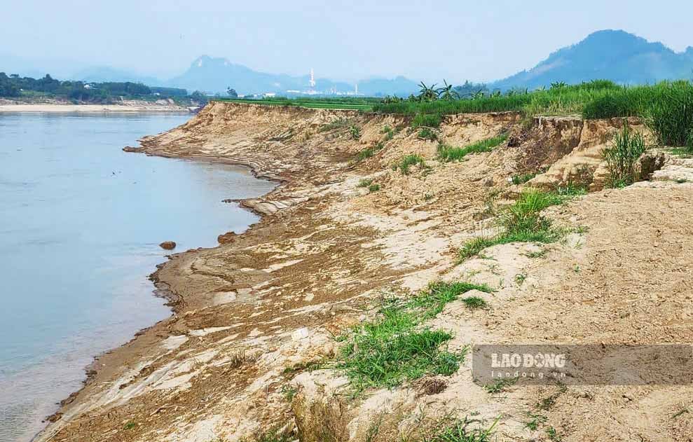 Bờ bãi sông Lô qua Tuyên Quang sạt lở tan hoang