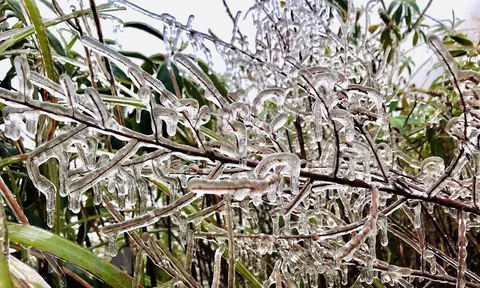 Lào Cai: Fansipan xuất hiện băng giá phủ trắng giữa mùa Xuân
