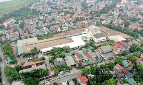 Làng cổ nghìn năm ở Phú Thọ sắp lên thành phố