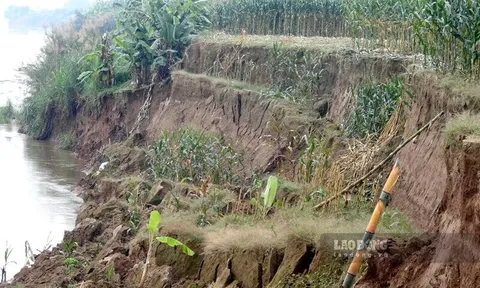 Hai bờ sông Hồng sạt lở liên miên ở Phú Thọ