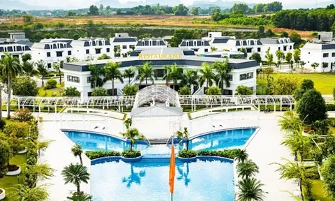 Chủ đầu tư dự án La Saveur De Hoà Bình "đội sổ" nợ thuế hơn 1.000 tỉ đồng