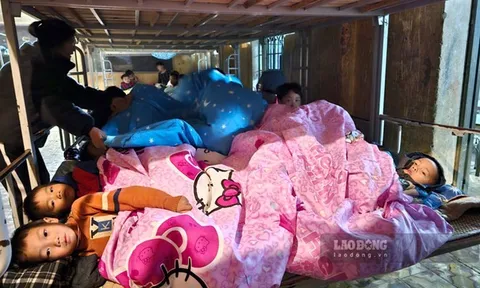 Thầy và trò Yên Bái gồng mình chống chọi qua đợt rét đầu đông