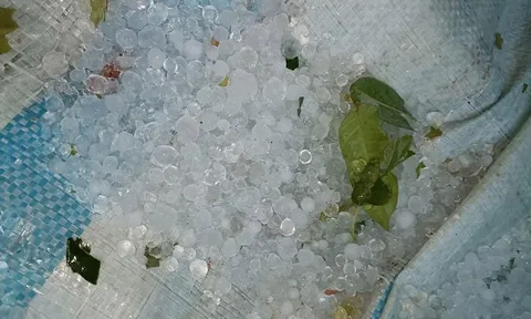 Bất ngờ xuất hiện mưa đá ở tỉnh Lai Châu