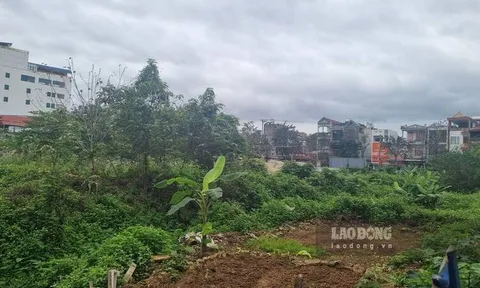 Thái Nguyên khai tử dự án trăm tỉ bỏ hoang hơn thập kỷ trên đất vàng