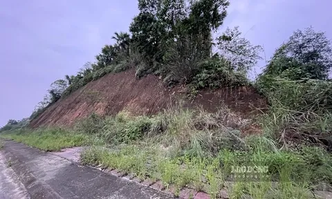 Bất cập trong việc thu hồi đất để xây khu tái định cư ở Yên Bái