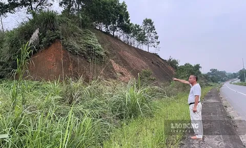 Thêm nhiều nghịch lý việc thu hồi đất để làm khu tái định cư ở Yên Bái