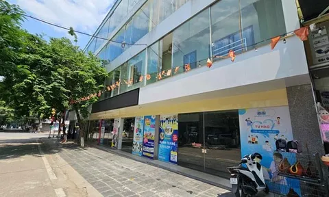 Thanh tra tỉnh Lào Cai kết luận về việc nợ lương tại Trường The Light Academy