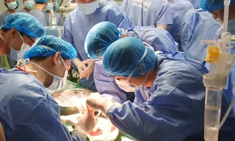 Phú Thọ: Lần đầu tiên lấy tạng từ người cho chết não ghép cho 2 bệnh nhân ở Huế