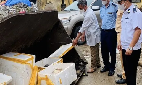 Phú Thọ: Ngăn chặn, xử lý nhiều vụ vận chuyển sản phẩm động vật không đảm bảo an toàn thực phẩm