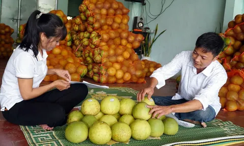 Yên Bái: 4.850 lượt nông sản được đưa lên các sàn thương mại điện tử