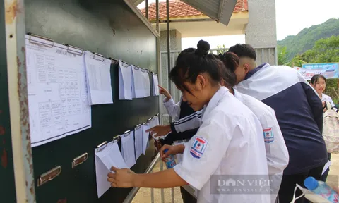 Hàng chục thí sinh ở Sơn La được miễn tất cả các bài thi tốt nghiệp THPT năm 2024