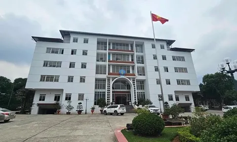 Lào Cai: Nhiều sai phạm được chỉ ra tại Chi cục Chăn nuôi và Thú y