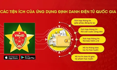 Từ 1/7: Kiểm tra bằng lái trên VNeID giá trị như trực tiếp với bản in