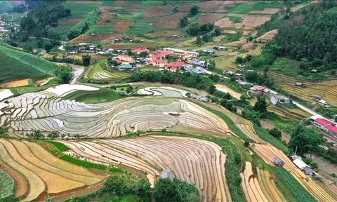 Vẻ đẹp ruộng bậc thang Mù Cang Chải mùa nước đổ