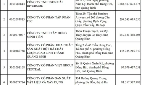 DN liên quan đến Tập đoàn Sơn Hải nợ thuế hơn 1.200 tỷ