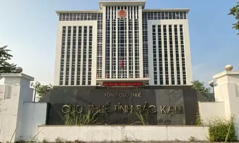 Cưỡng chế thuế Công ty sản xuất bê tông Bắc Kạn, với hơn 3,9 tỷ đồng