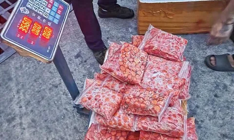 Lào Cai bắt lô hàng trứng gà non nhập lậu hơn 720 triệu đồng