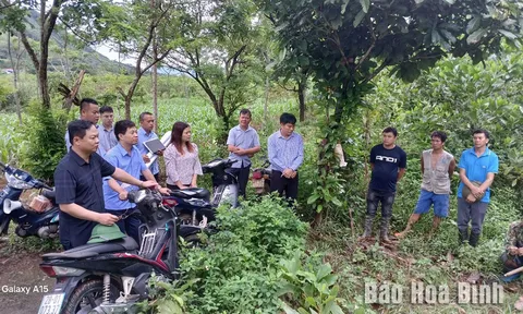 Huyện Đà Bắc sẵn sàng khởi công dự án đường cao tốc Hoà Bình - Mộc Châu