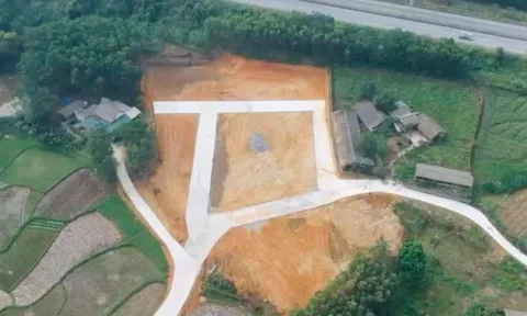 Phú Thọ: Truy tìm bị hại liên quan đến Công ty Cổ phần tập đoàn Hào Nam