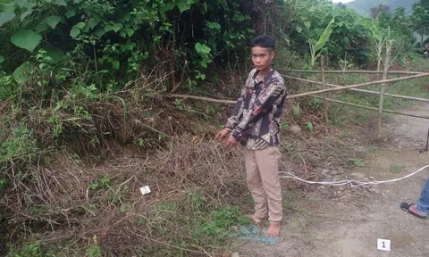 Bắt giữ kẻ hiếp dâm cô họ dưới 16 tuổi ở Lai Châu