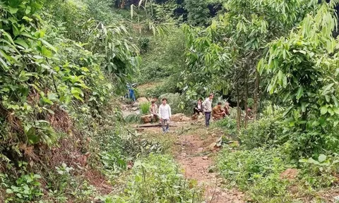 Tăng cường người, phạm vi tìm kiếm cháu bé 6 tuổi mất tích ở Yên Bái