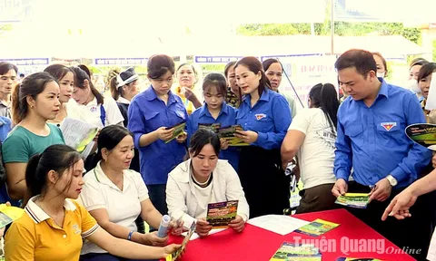 Phê duyệt kế hoạch đưa người lao động tỉnh Tuyên Quang đi làm việc thời vụ tại Hàn Quốc