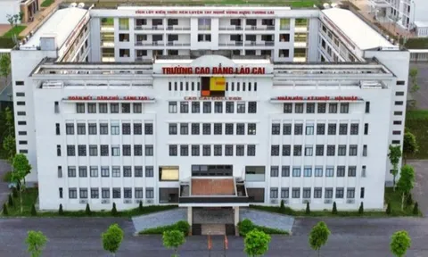 Vụ án tại Trung tâm đào tạo lái xe thuộc Trường Cao đẳng Lào Cai: Luật sư kiến nghị làm rõ những người được hưởng lợi