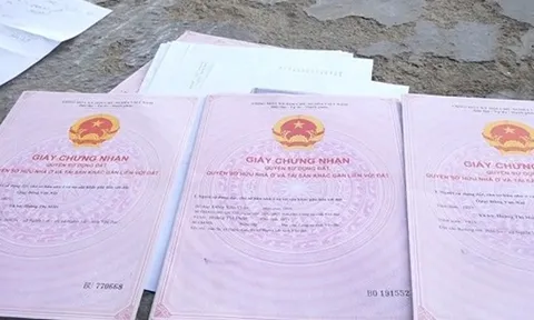 Khẩn trương rà soát, đính chính hàng trăm "sổ đỏ" ghi sai thông tin