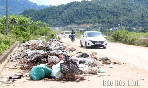 Nhiều vi phạm diễn ra trên các tuyến đê của thành phố Hòa Bình