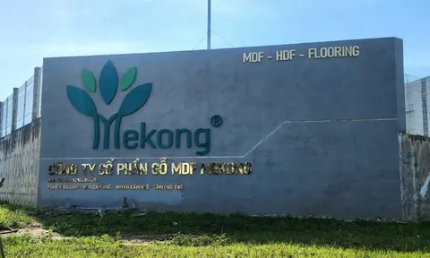 Phú Thọ: Xử phạt công ty gỗ hơn 600 triệu đồng vì vi phạm về môi trường