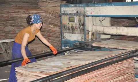 Tỷ lệ lấp đầy các khu công nghiệp Yên Bái đạt gần 86%