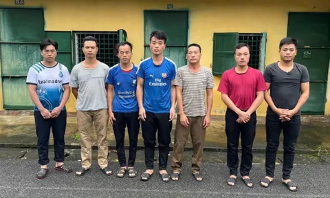 Khởi tố 7 đối tượng chặt hạ gỗ quý vùng lõi Vườn quốc gia Xuân Sơn