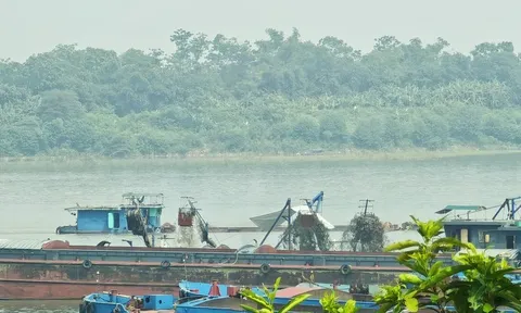 Loạt doanh nghiệp vi phạm khai thác cát sỏi ở tỉnh Phú Thọ