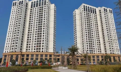 Vĩnh Phúc công khai 106 người nợ thuế hơn 560 tỉ đồng