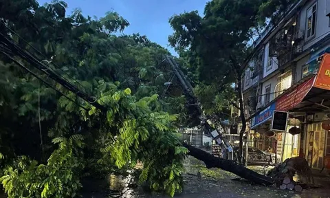 Phú Thọ: 2 người bị thương, 178 nhà hư hỏng do bão số 3