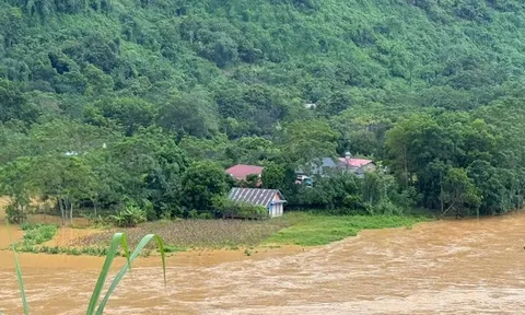 Mưa to, lũ lớn khiến 1.256 nhà ở Bắc Kạn tốc mái, sạt lở, ngập nước