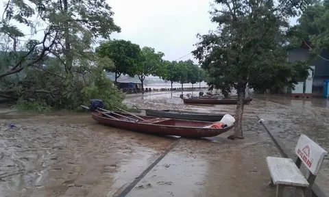 Lào Cai: 19 người chết, 11 người mất tích do mưa lũ và 21 người bị thương
