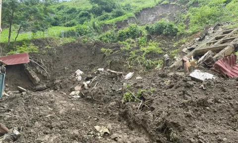 142 cô trò ở Lào Cai thoát chết nhờ kịp sơ tán trước khi quả đồi sập xuống