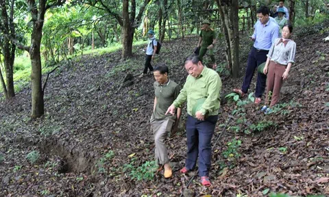 Sơn La: Công bố tình huống khẩn cấp về thiên tai trên địa bàn huyện Mường La và Bắc Yên