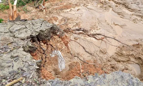 Sạt lở uy hiếp đê tả sông Lô, Vĩnh Phúc công bố tình huống khẩn cấp