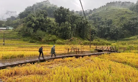 Lào Cai mở tour du lịch kết hợp thiện nguyện sau bão Yagi