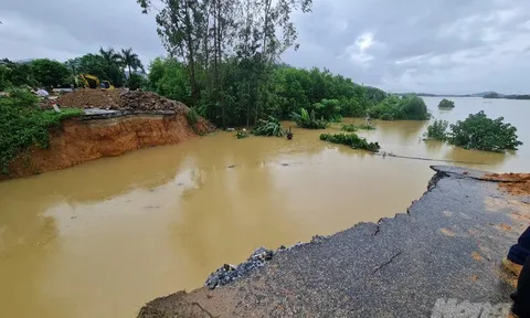 Những tuyến đê 'run rẩy' chờ kinh phí