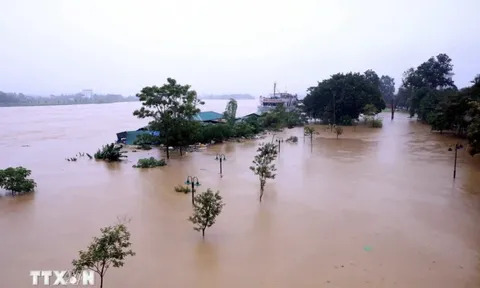 Lũ trên sông Thao lên nhanh, Yên Bái và Lào Cai có khả năng ở mức báo động 3