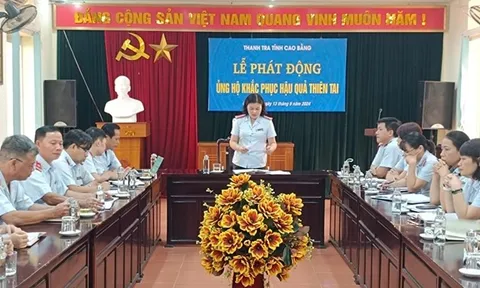 Cao Bằng: Kiến nghị xử lý hành chính 14 tổ chức và 37 cá nhân vi phạm