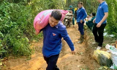 Đảm bảo nhu yếu phẩm cho gần 10.000 dân bị ảnh hưởng sạt lở đất ở Phú Thọ