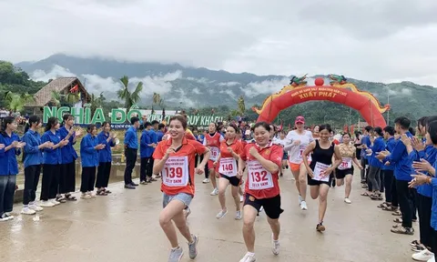 Chiêm ngưỡng cây đa 300 tuổi cạnh đền thiêng ở Lào Cai