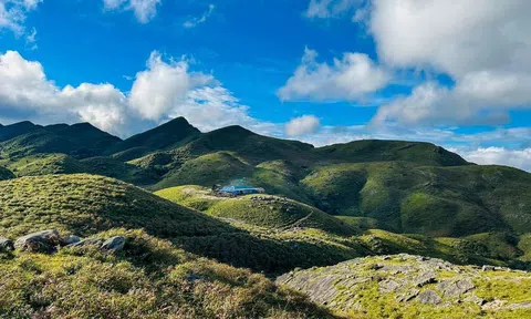 Trekking Tà Chì Nhù ngắm hoa chi pâu giữa trời thu