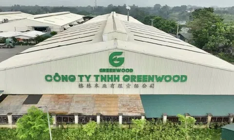 Phú Thọ xử phạt công ty GREENWOOD 140 triệu đồng